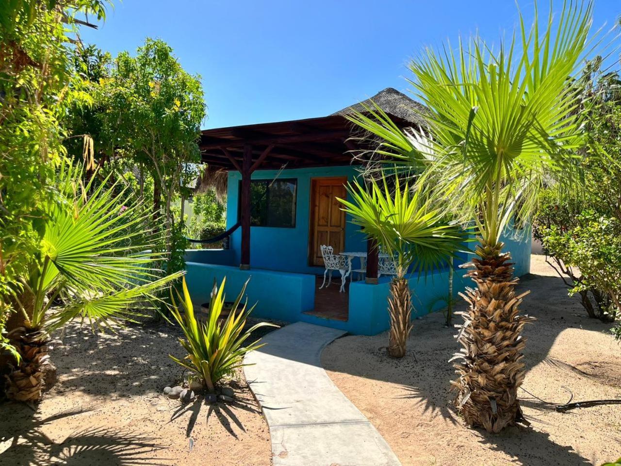 Cabo Pulmo Beach Resort Dış mekan fotoğraf